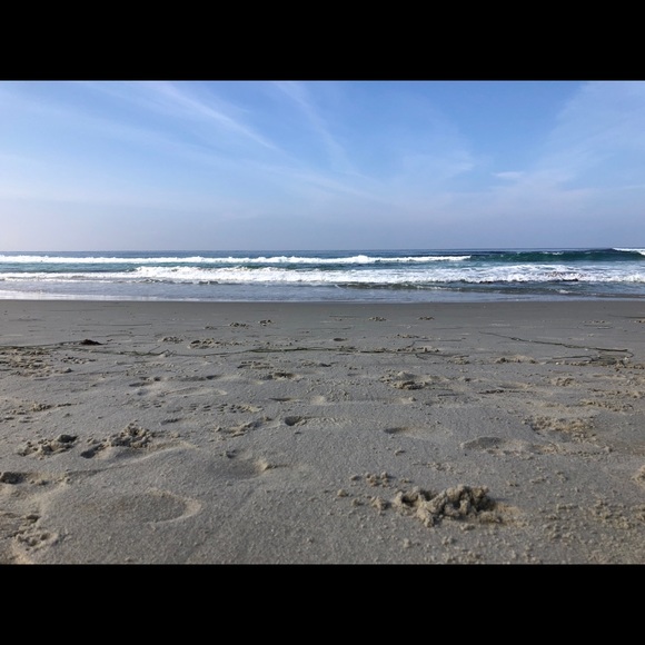 Meet your Posher, Regan - Picture 1 of 1